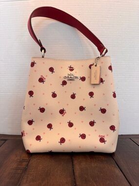 Coach C Mini Town Bucket Bag Ladybug Floral Print Red White Y2K